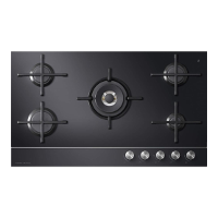 Fisher & Paykel Hobs